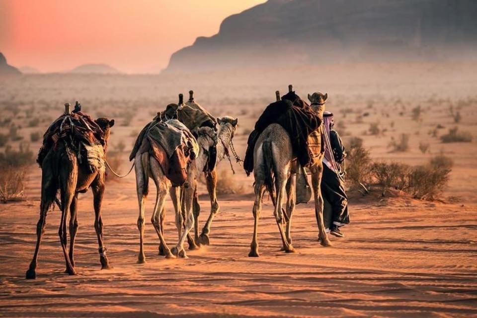 Tamim Luxury Wadi Rum Camp Exterior photo